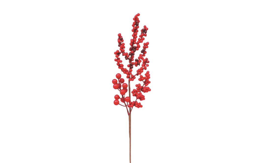 Haste Azevinho 51cm
