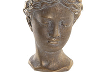Carregar imagem no visualizador da galeria, Busto Floreira em Cimento
